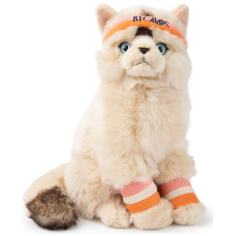 Image d'ambiance de présentation du produit Peluche Dolly le Ragdoll (32 cm) - BT Chaps